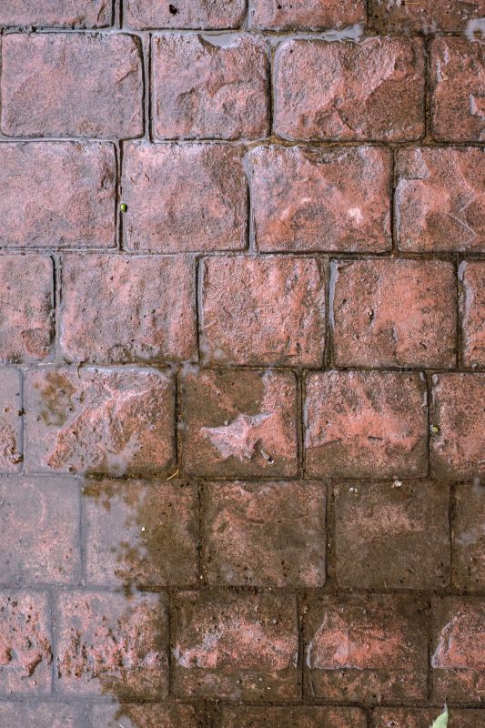 Decorative Concrete Repair in Sacramento, CA